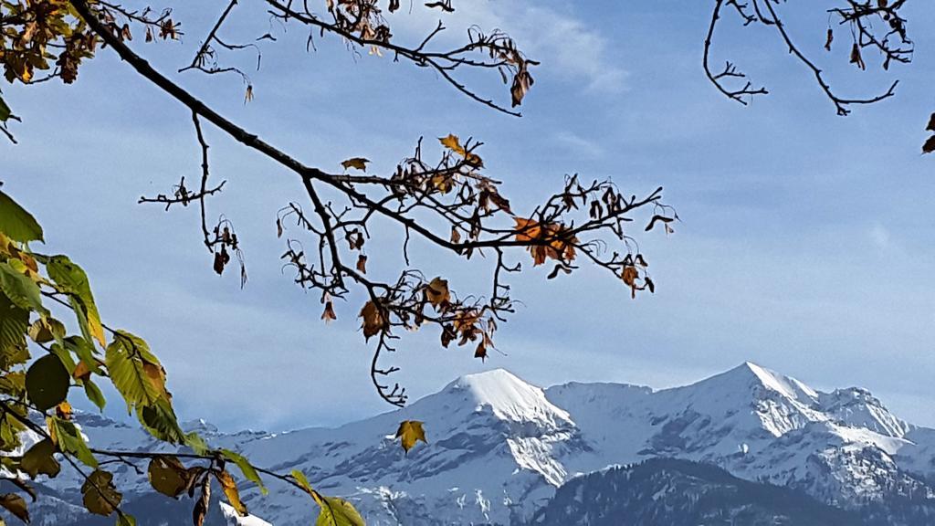 Apartmán Oase Zum Sein Spiez Exteriér fotografie