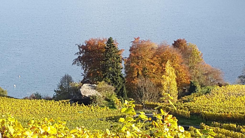 Apartmán Oase Zum Sein Spiez Pokoj fotografie